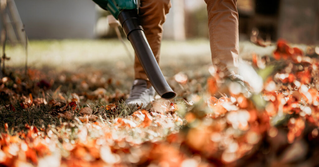 herfsttuin tips